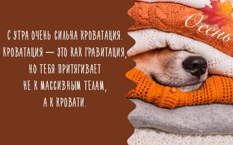 Листівки з добрим осіннім ранком і гарним настроєм (нові та гарні)