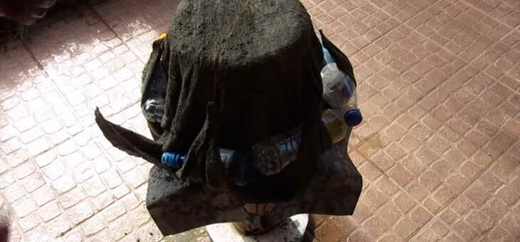 Всі новинки виробів для саду з цементу своїми руками — садовий декор та прикраси