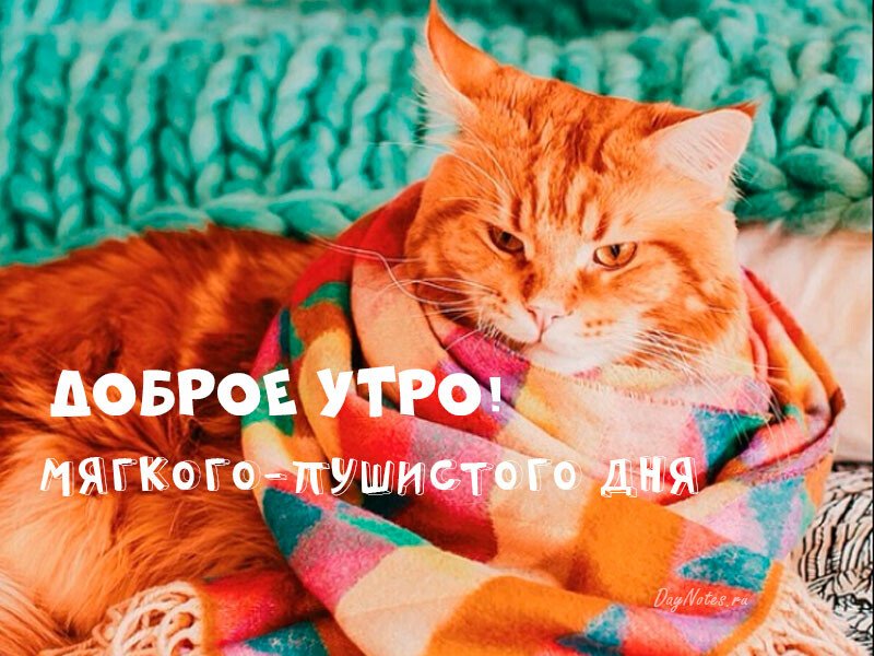 Листівки з добрим осіннім ранком і гарним настроєм (нові та гарні)