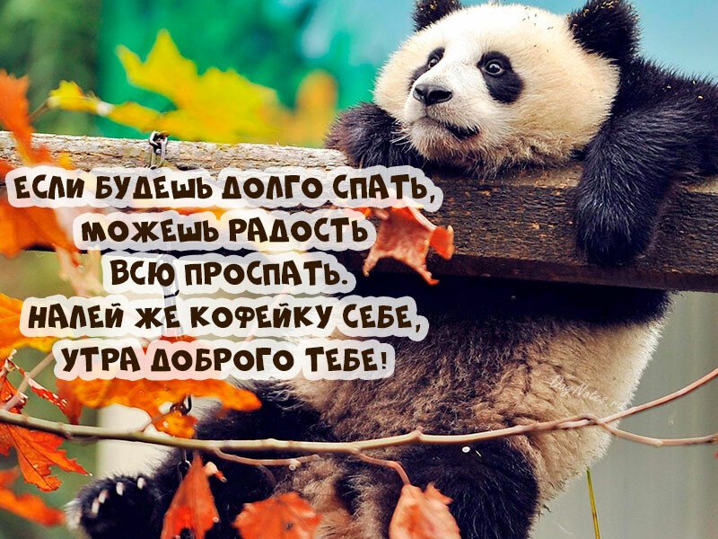Листівки з добрим осіннім ранком і гарним настроєм (нові та гарні)