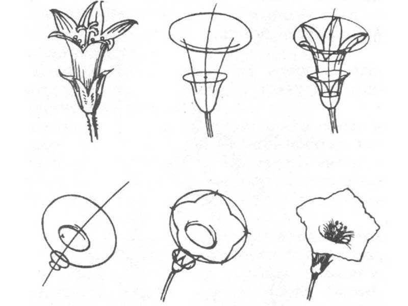 Листівки до дня вчителя своїми руками (шаблони і картинки)