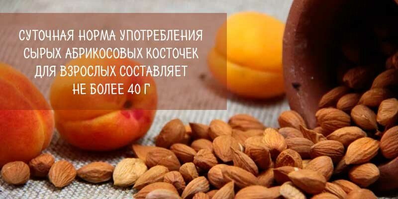 Чи можна їсти ядра абрикосових кісточок і скільки — користь і шкода