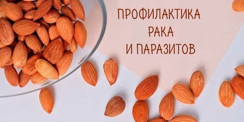 Чи можна їсти ядра абрикосових кісточок і скільки — користь і шкода