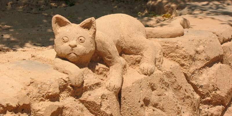 Ігри на пляжі для дітей і дорослих + ігри в таборі на морі Ігри на пляжі для дітей і дорослих + ігри в таборі на морі