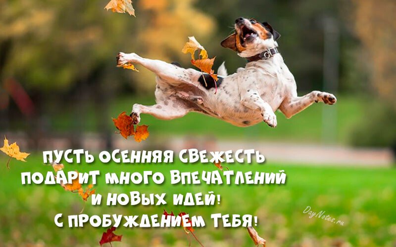 Листівки з добрим осіннім ранком і гарним настроєм (нові та гарні)