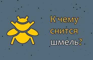 Як трактувати сон про шмеле — 42 значення сновидіння Як трактувати сон про шмеле — 42 значення сновидіння