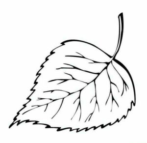 Осіннє листя з паперу: шаблони та трафарети для вирізання Осіннє листя з паперу: шаблони та трафарети для вирізання