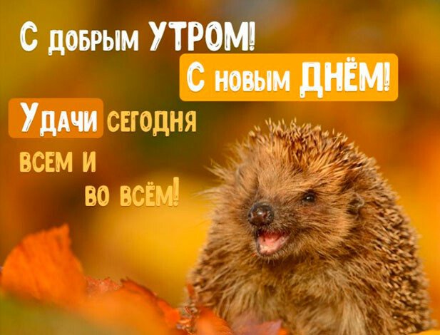 Листівки з добрим осіннім ранком і гарним настроєм (нові та гарні)