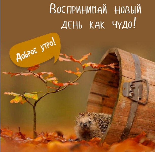 Листівки з добрим осіннім ранком і гарним настроєм (нові та гарні)