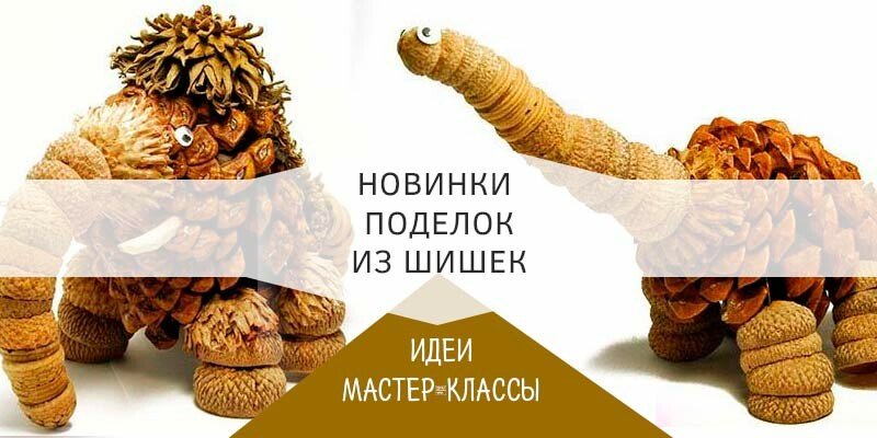 Осінні вироби з шишок своїми руками для школи та дитячого садка Осінні вироби з шишок своїми руками для школи та дитячого садка