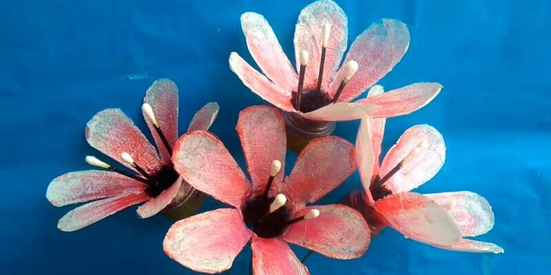 Квіти з пластикових пляшок покроково для початківців — майстер класи для саду та городу