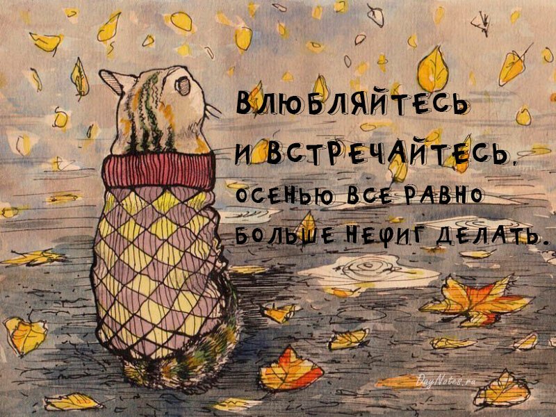 Листівки з добрим осіннім ранком і гарним настроєм (нові та гарні)