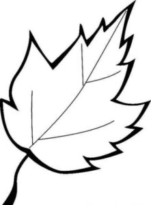 Осіннє листя з паперу: шаблони та трафарети для вирізання Осіннє листя з паперу: шаблони та трафарети для вирізання