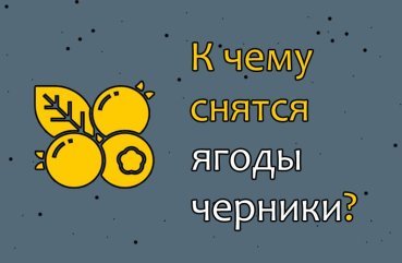 Що означає сновидіння про ягодах чорниці — 25 точних трактувань за різними сонникам