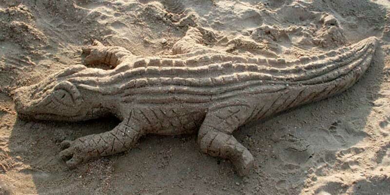 Ігри на пляжі для дітей і дорослих + ігри в таборі на морі Ігри на пляжі для дітей і дорослих + ігри в таборі на морі