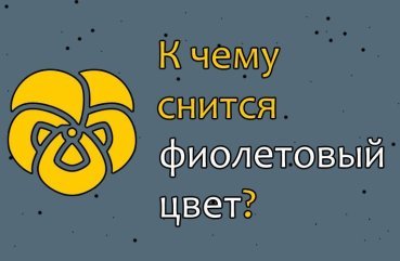 Як тлумачити сон про фіолетовий колір — 32 тлумачення