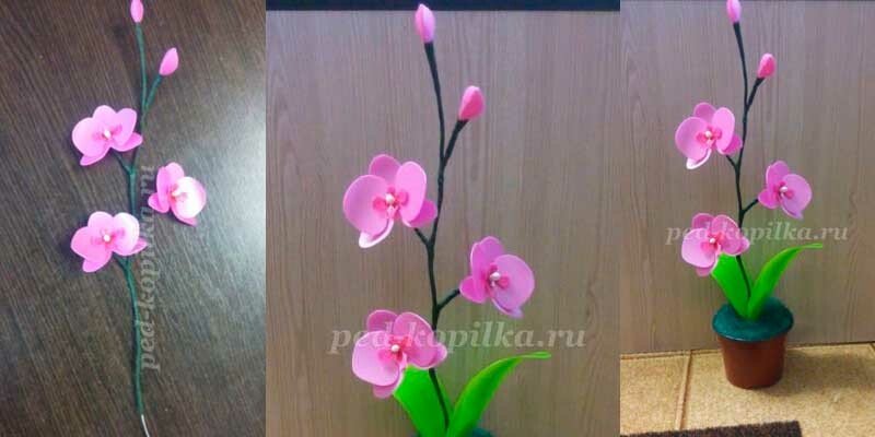 Квіти з пластикових пляшок покроково для початківців — майстер класи для саду та городу