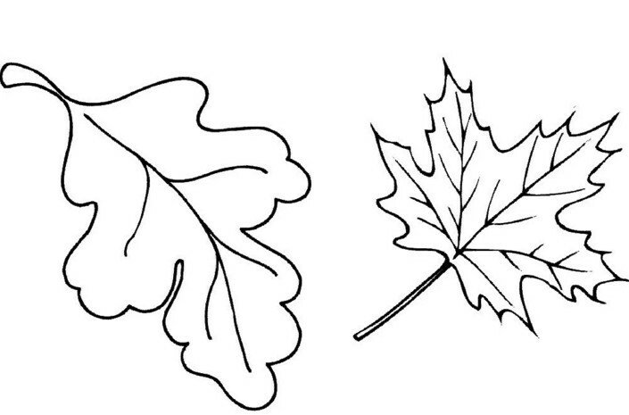 Осіннє листя з паперу: шаблони та трафарети для вирізання