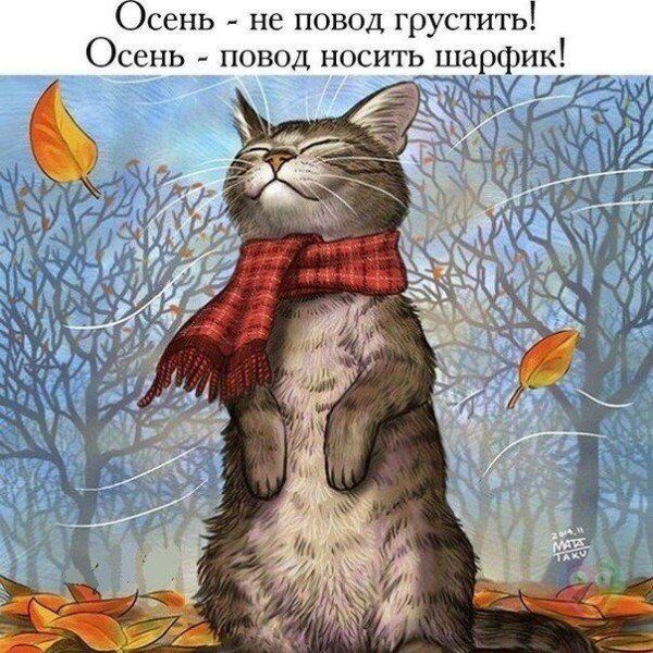 Листівки з добрим осіннім ранком і гарним настроєм (нові та гарні)