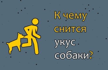До чого сниться, що вкусила собака — 40 трактувань сну