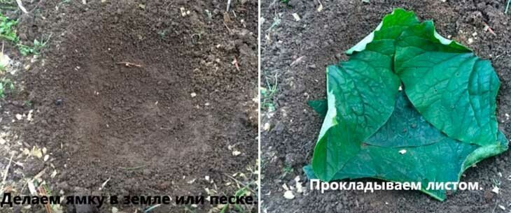 Всі новинки виробів для саду з цементу своїми руками — садовий декор та прикраси