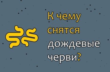 Що означає сон про дощових хробаків — 44 тлумачення за різними сонникам Що означає сон про дощових хробаків — 44 тлумачення за різними сонникам