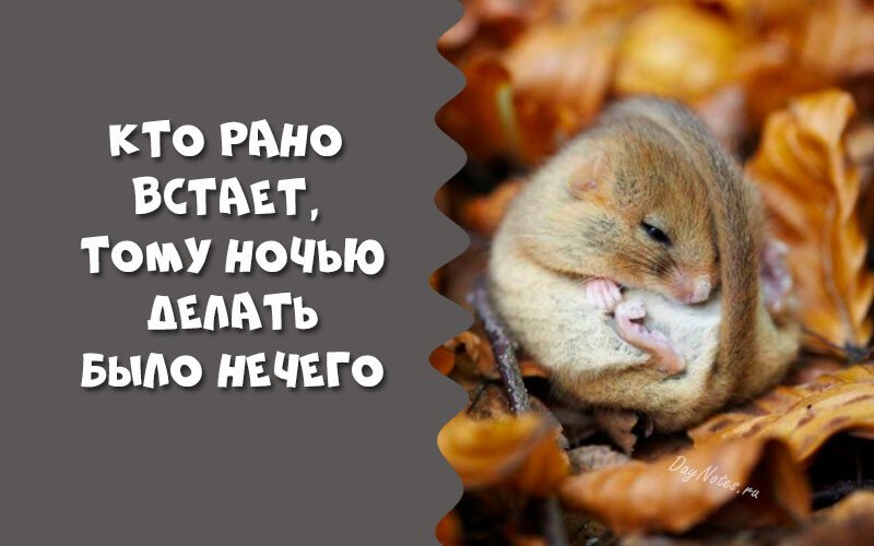 Листівки з добрим осіннім ранком і гарним настроєм (нові та гарні)