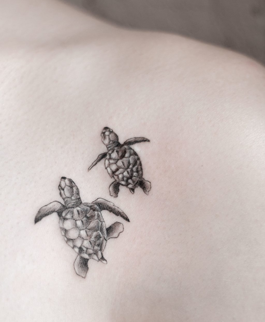 Жіночі тату на ключиці цікаві ідеї (70 фото) Жіночі тату на ключиці цікаві ідеї (70 фото)