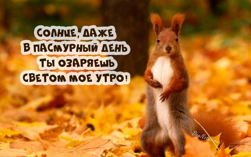 Листівки з добрим осіннім ранком і гарним настроєм (нові та гарні)