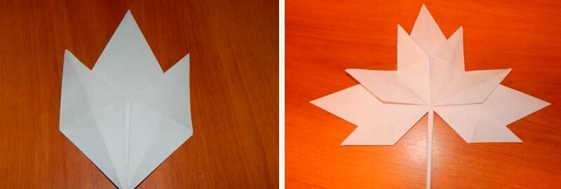 Осіннє листя з паперу: шаблони та трафарети для вирізання Осіннє листя з паперу: шаблони та трафарети для вирізання