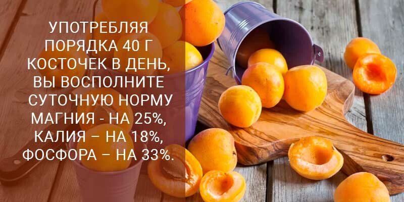 Чи можна їсти ядра абрикосових кісточок і скільки — користь і шкода