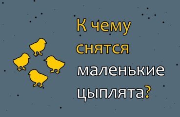 Що означає сон про маленьких курчат — 40 тлумачень