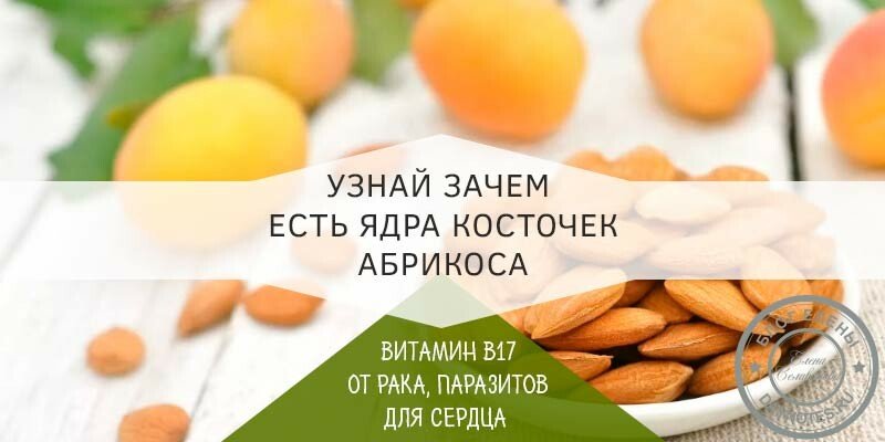 Чи можна їсти ядра абрикосових кісточок і скільки — користь і шкода