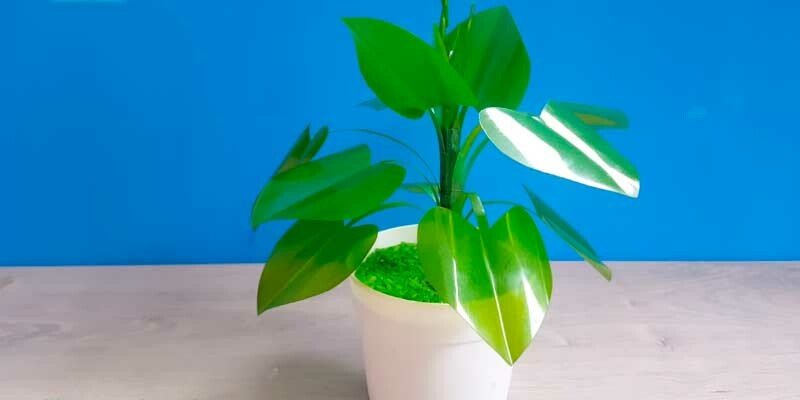 Квіти з пластикових пляшок покроково для початківців — майстер класи для саду та городу