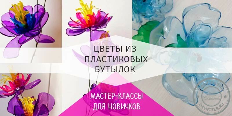 Квіти з пластикових пляшок покроково для початківців — майстер класи для саду та городу