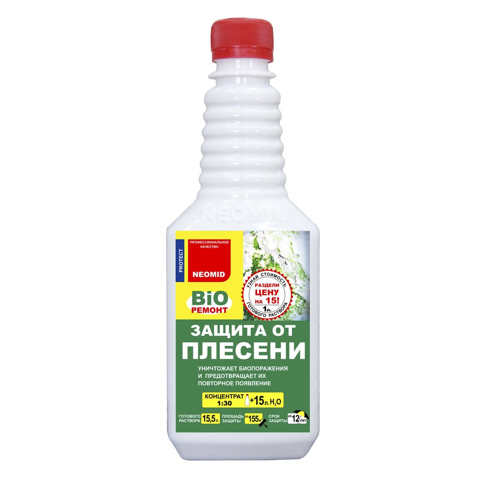 Як позбутися від цвілі в квартирі?