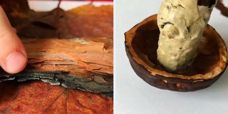 Вироби з природного матеріалу на тему осінь для дитячого садка і школи Вироби з природного матеріалу на тему осінь для дитячого садка і школи