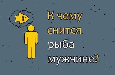 До чого сниться риба чоловікові — 41 тлумачення сну