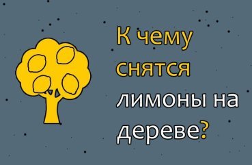 Як трактувати сон про лимони на дереві — 40 вірних значень