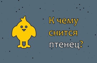 Як трактувати сон про пташенят — 40 точних значень