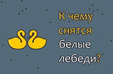 Що означає сон про білих лебедів — 34 точних тлумачення