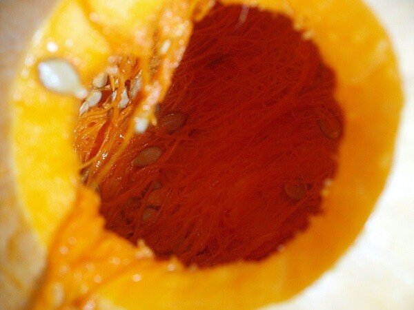 Вироби з гарбуза в дитячий сад і на виставку в школу: 100 ідей на тему осінь Вироби з гарбуза в дитячий сад і на виставку в школу: 100 ідей на тему осінь