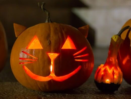 Вироби з гарбуза в дитячий сад і на виставку в школу: 100 ідей на тему осінь Вироби з гарбуза в дитячий сад і на виставку в школу: 100 ідей на тему осінь