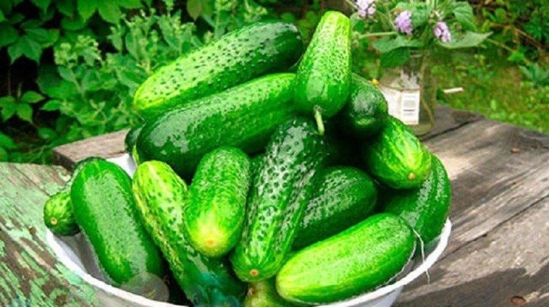 Що можна зробити зі старими огірками: 5 безпрограшних варіантів