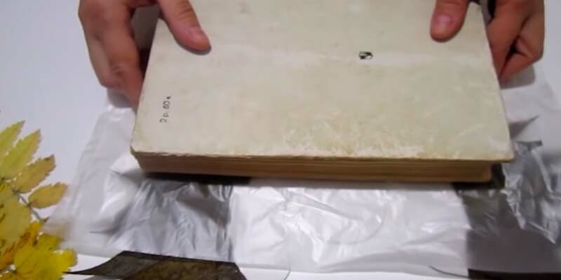 Вироби з природного матеріалу на тему осінь для дитячого садка і школи Вироби з природного матеріалу на тему осінь для дитячого садка і школи