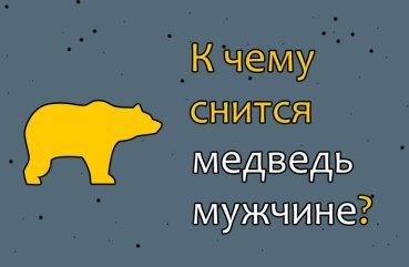 Що означає для чоловіка сон про ведмедя — 39 докладних тлумачень