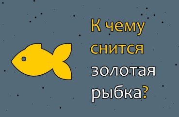 Як трактувати сон про золоту рибку — 46 різних значень по сонникам