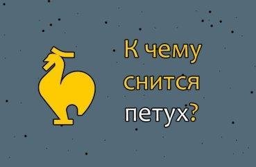Що означає сон про півня — 51 докладне тлумачення по сонникам