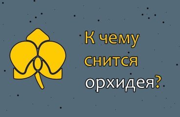Як розшифрувати сон про орхідеї — 30 трактувань