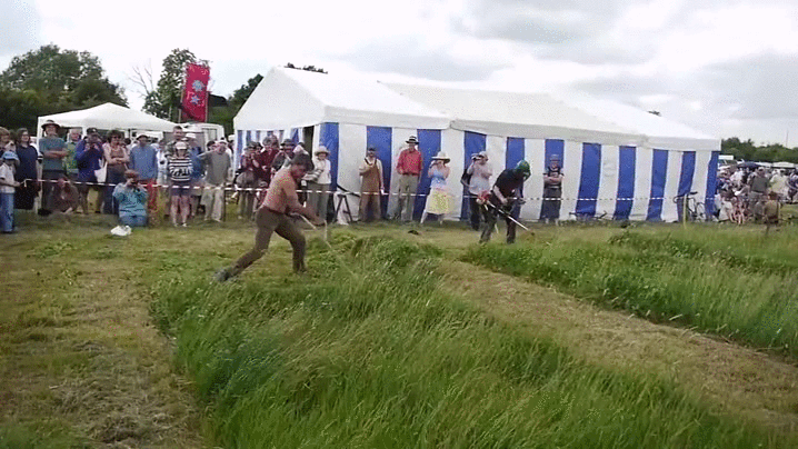 До чого косити траву в сні — значення по сонникам 42